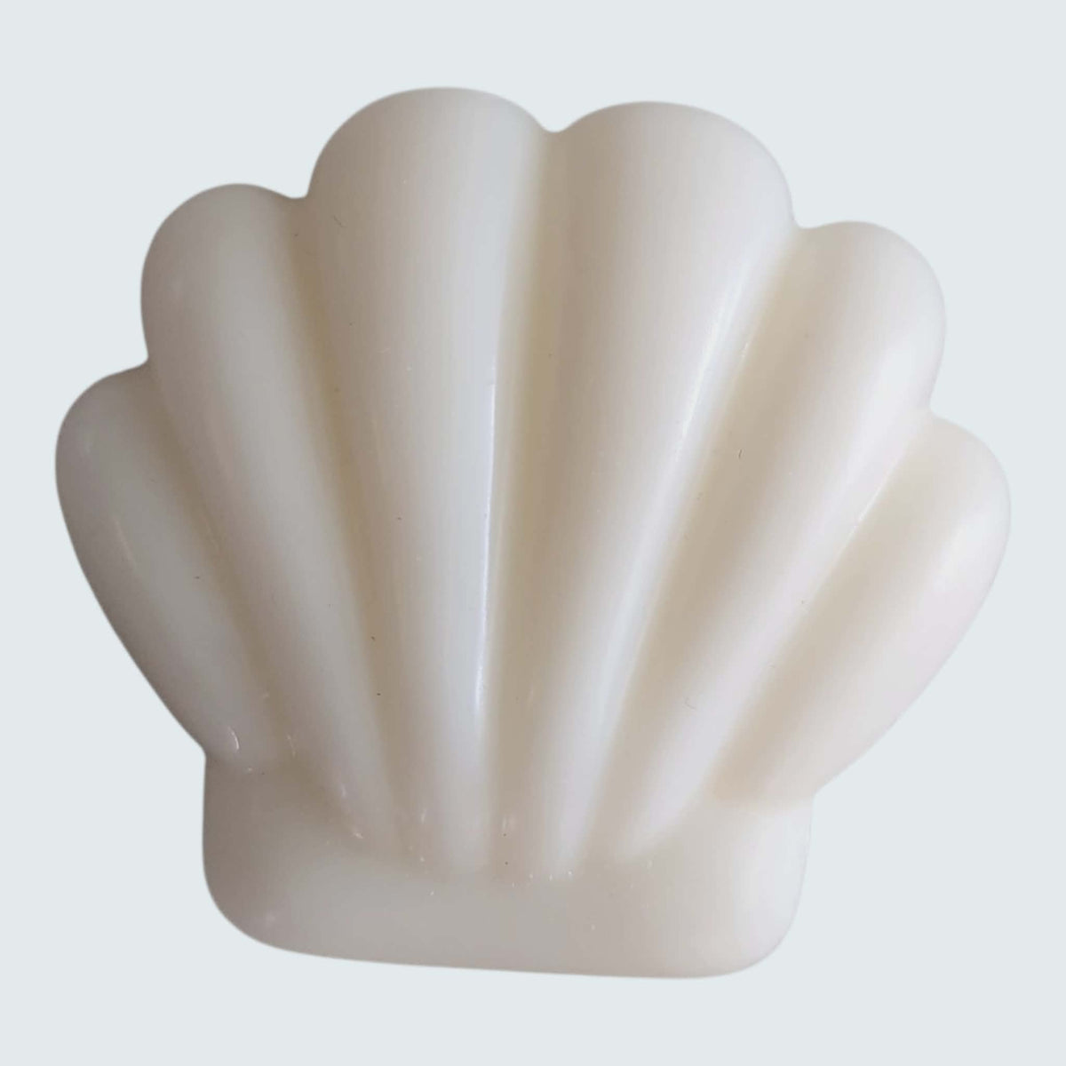 Shell-shaped object on a light gray background