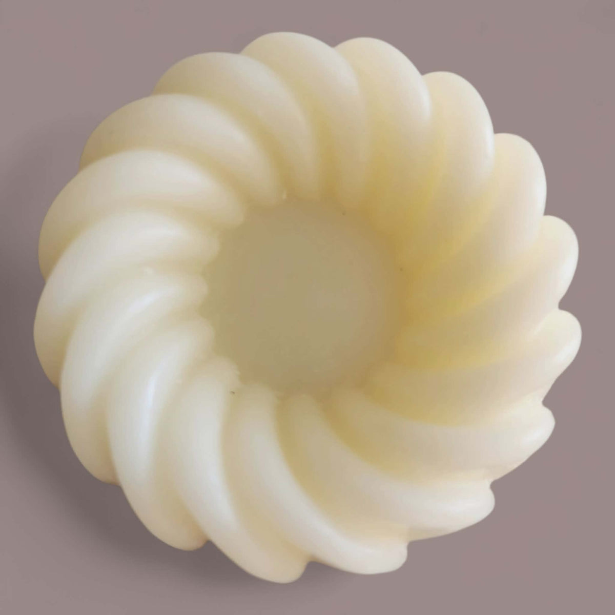 Close-up of a white, spiral-shaped object on a brown background